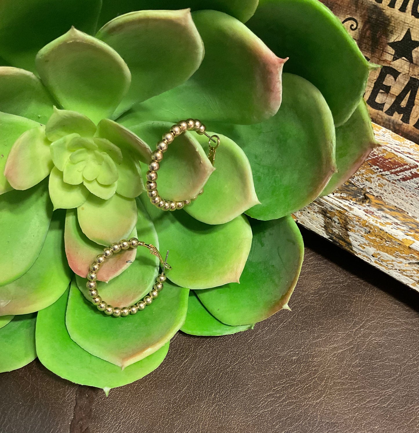 Golden Loop Dreams Earrings