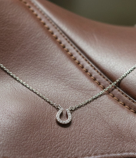 Dainty white gold dipped necklace with a cubic zirconia horseshoe pendant on a fine chain.