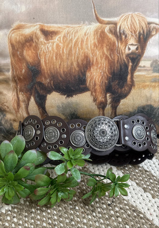 Bandera Disc Belt
