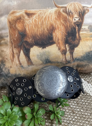 Cimarron Disc Belt