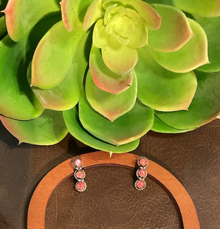 Rosé Row Sterling Earrings