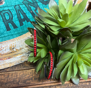 The image features a pair of hoop earrings with red channel-set stones, displayed on a green plant with a wooden and turquoise background.