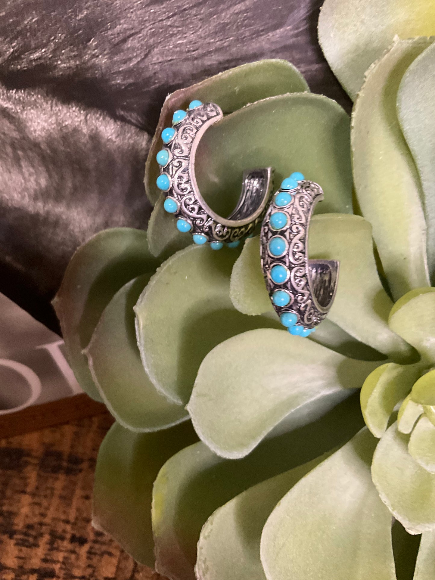 Stagecoach Hoop Earrings