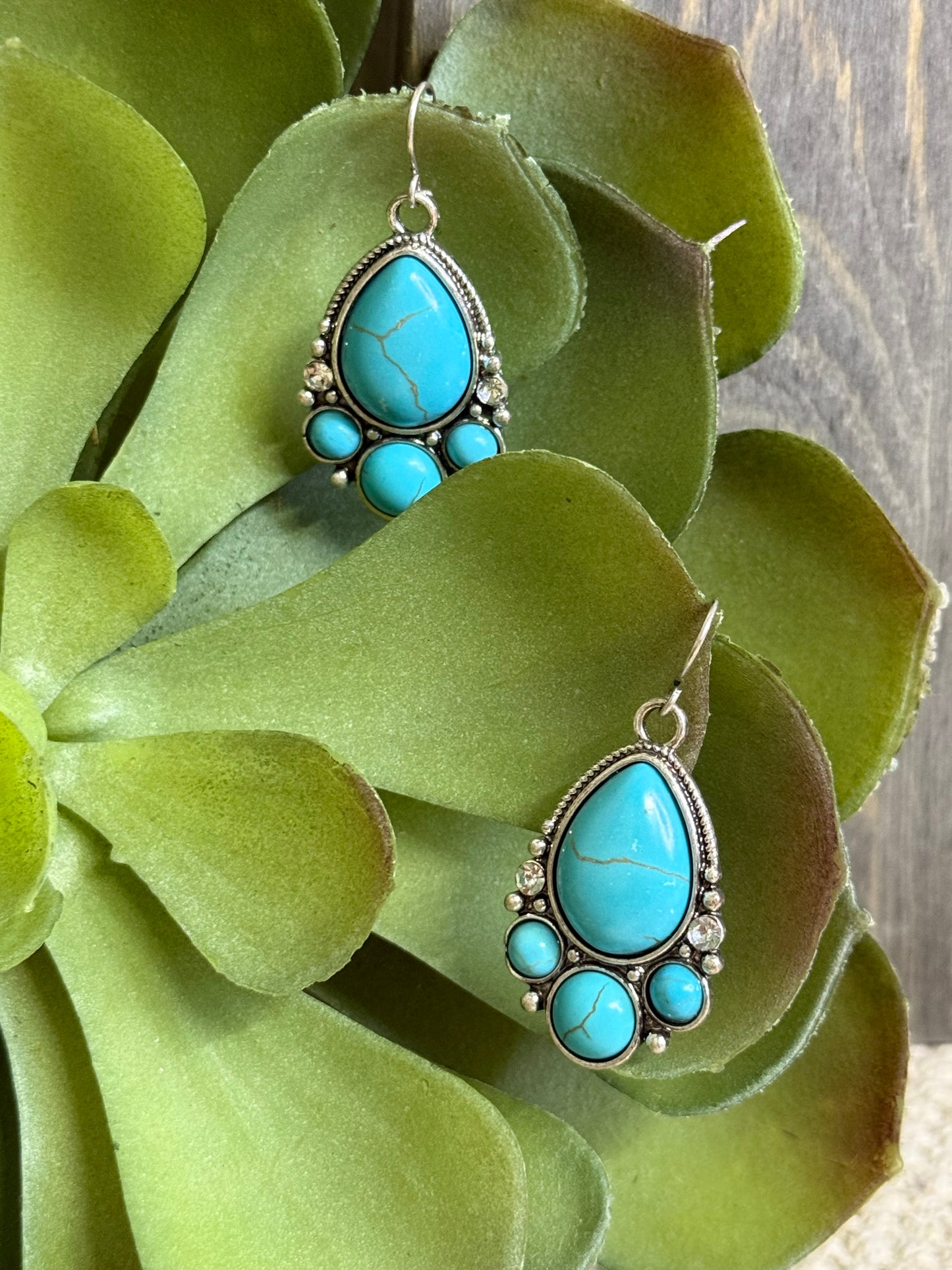 Wild Lace Stone Earrings